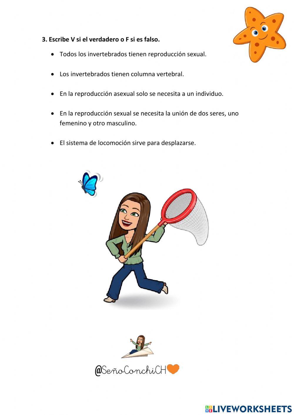 Animales invertebrados