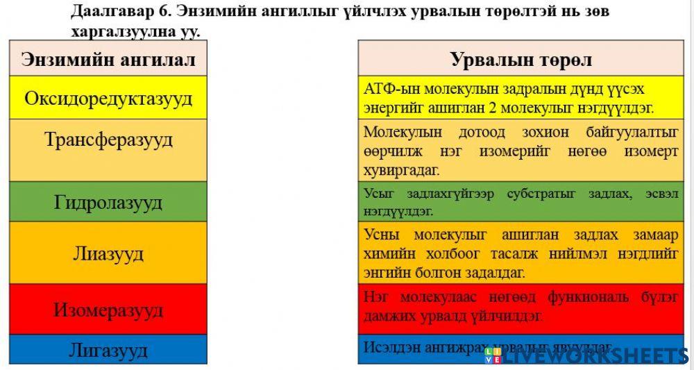 Энзимийн ангилал Даалгавар 6 online exercise for | Live Worksheets