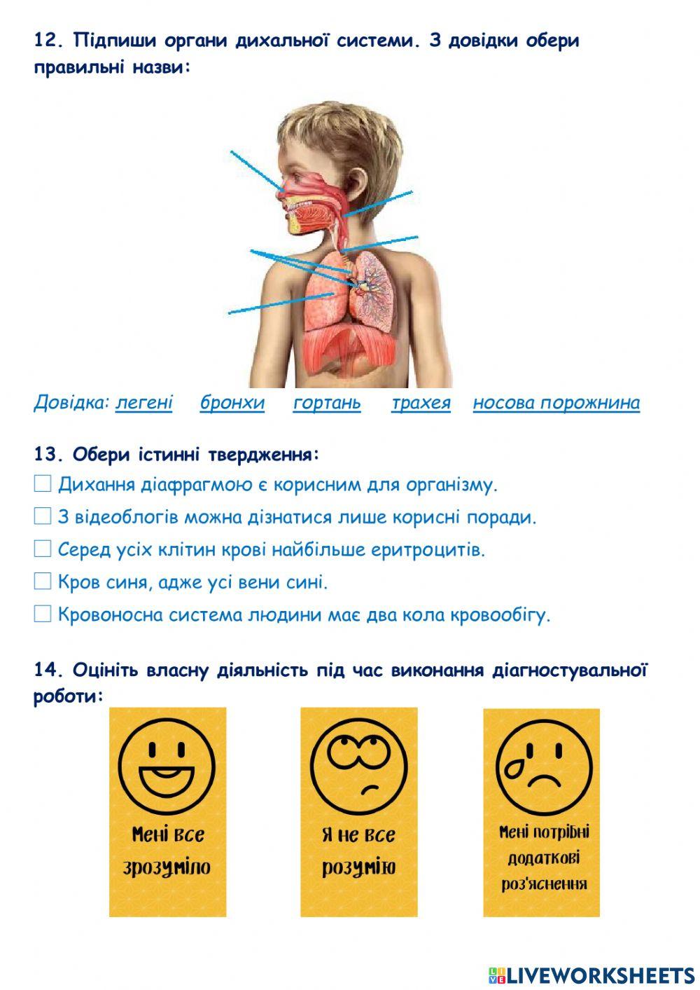 Діагностувальна робота №3 -Чарівні перетворення-