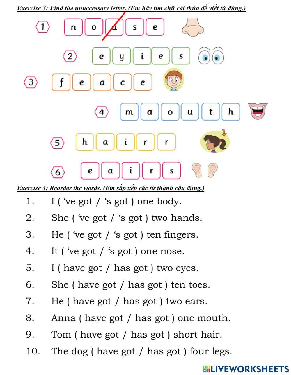 Week 13 grade 2 u5 face