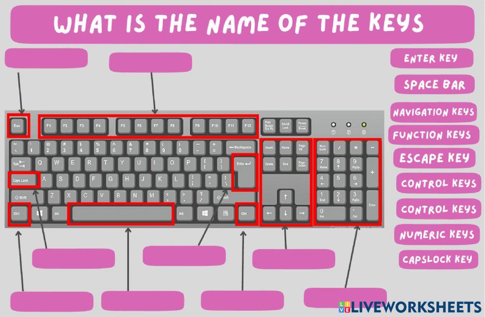 PARTS OF THE KEYBOARD | lopec janice | Live Worksheets