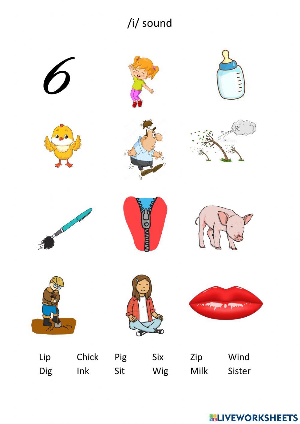 Starter-Family-Phonics1