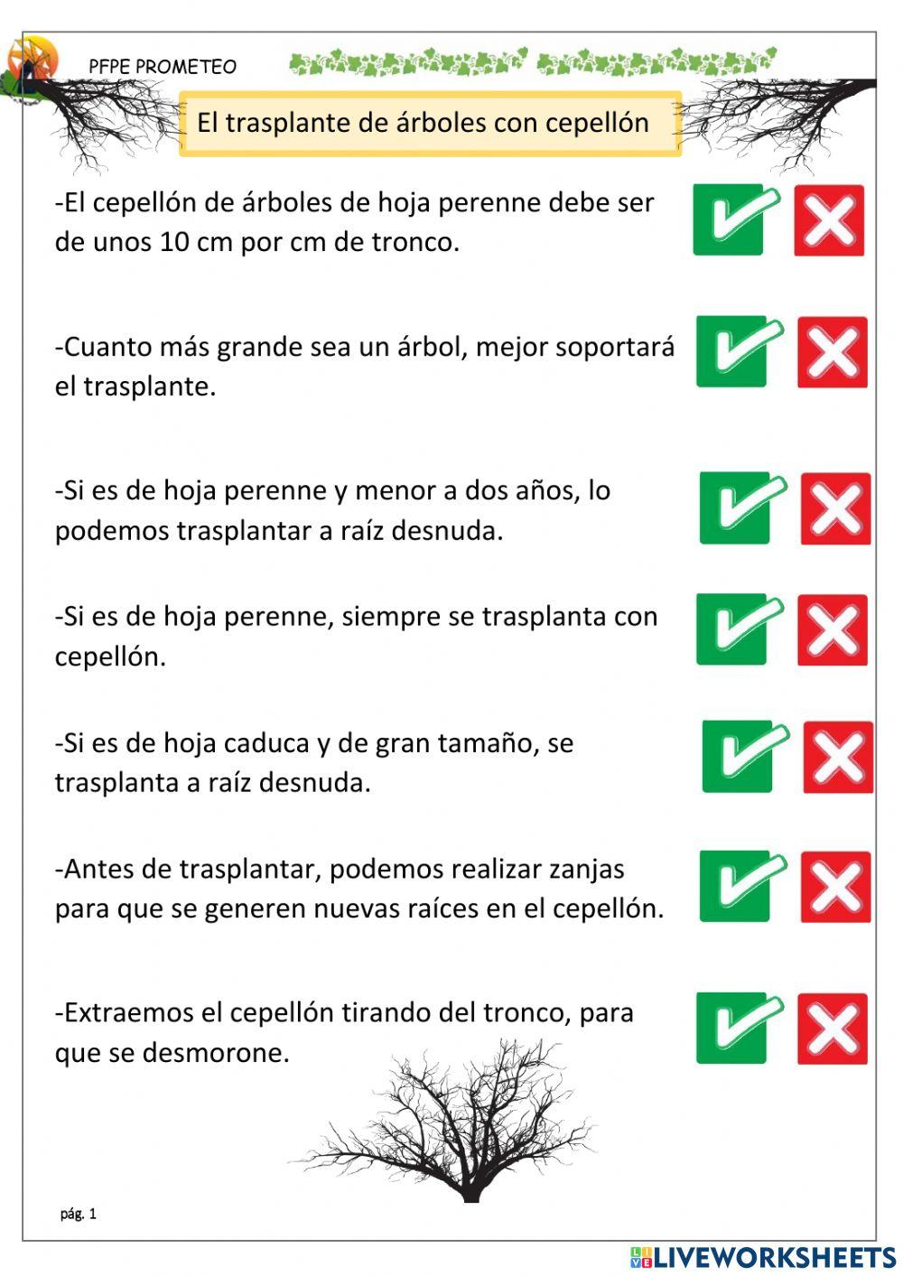 Protección del cepellón