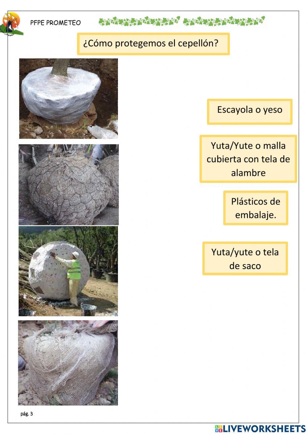 Protección del cepellón