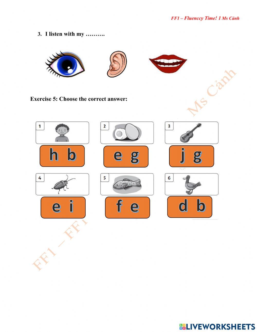 FF1 – Fluenccy Time! 1 P28-29 Ms Cảnh