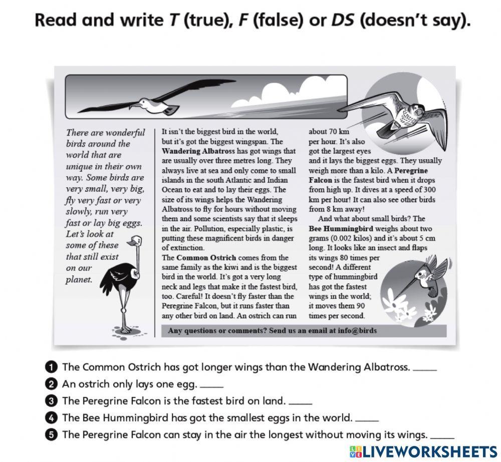 New tiger enhanced 6 unit 2 reading