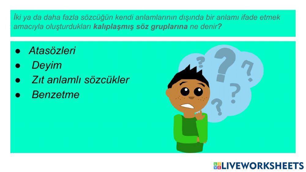 Тест Турски език