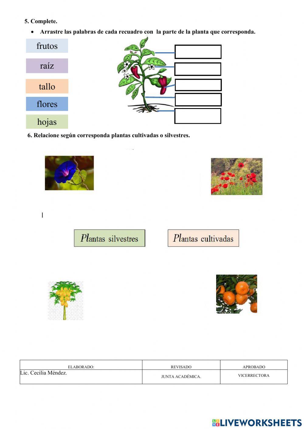 Aporte de ciencias naturales
