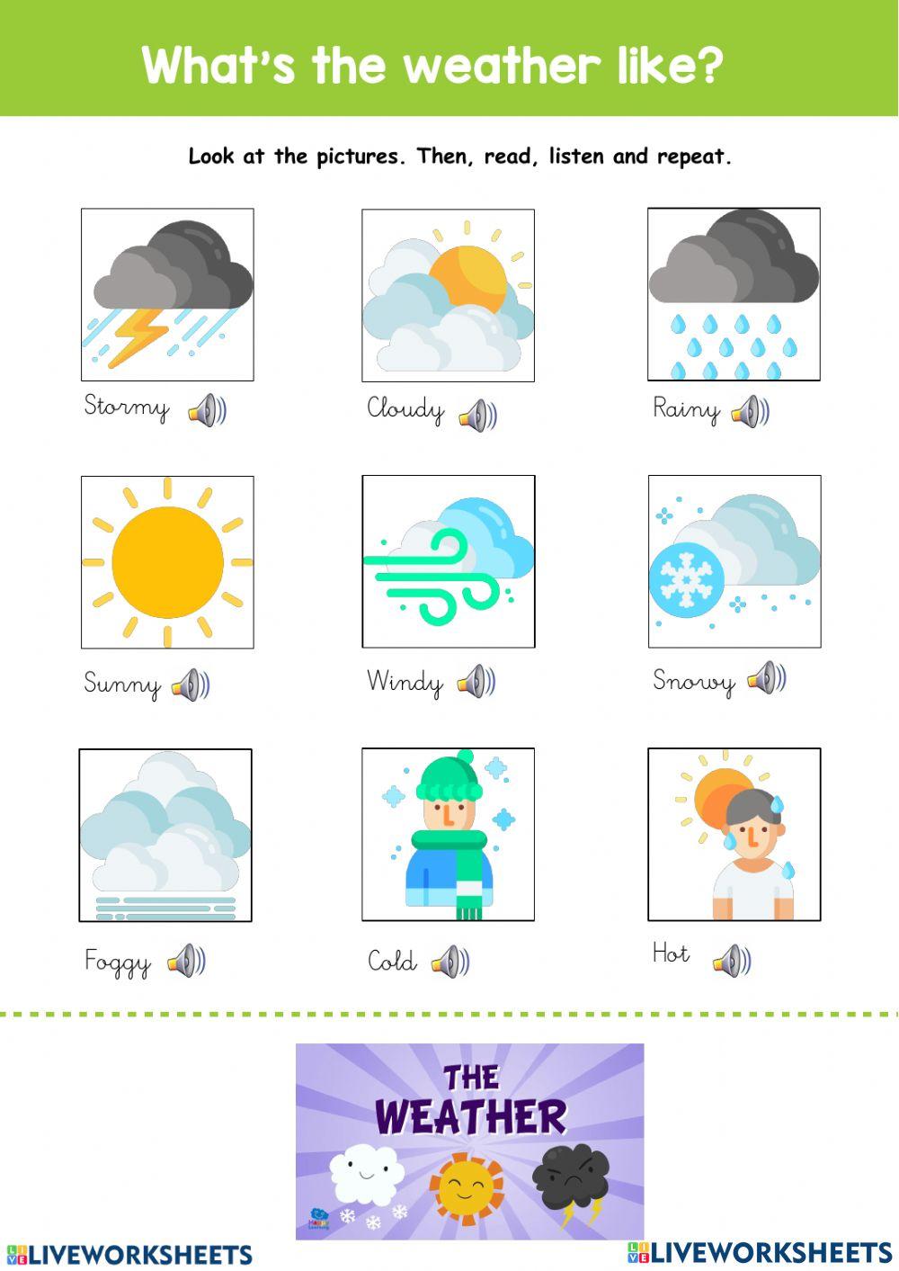 What's the weather like?