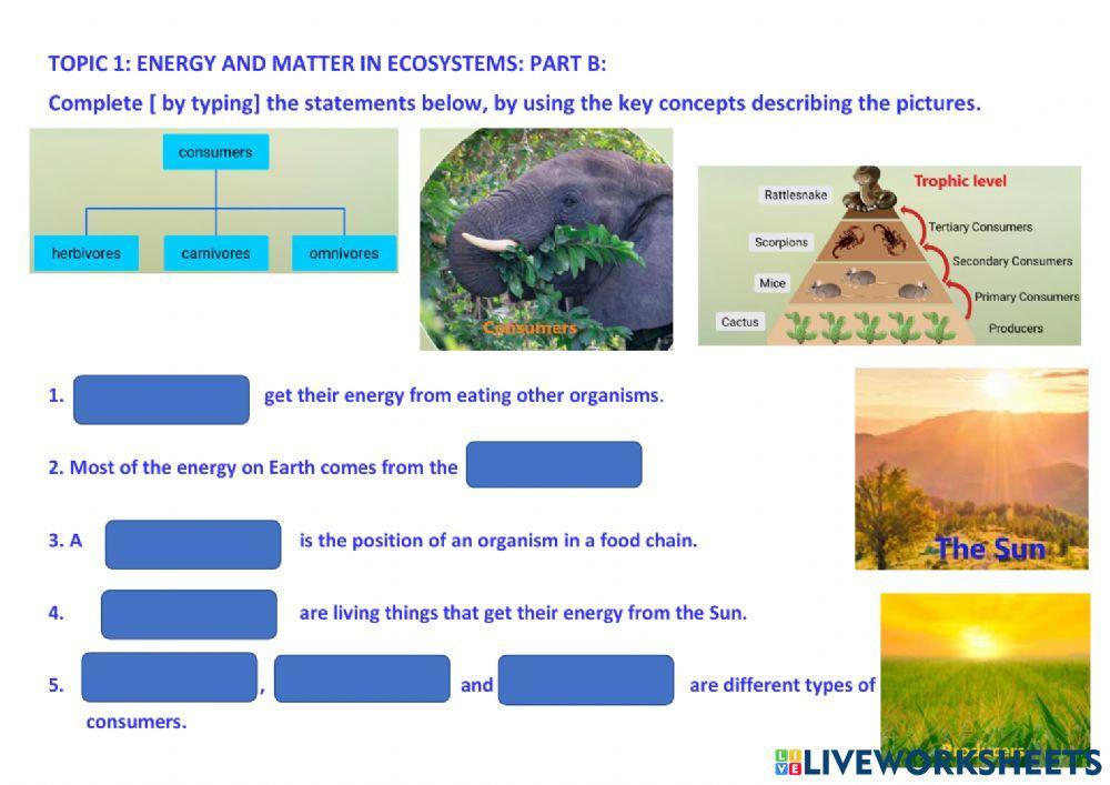 2227770-energy-flow-in-ecosystems-jdv