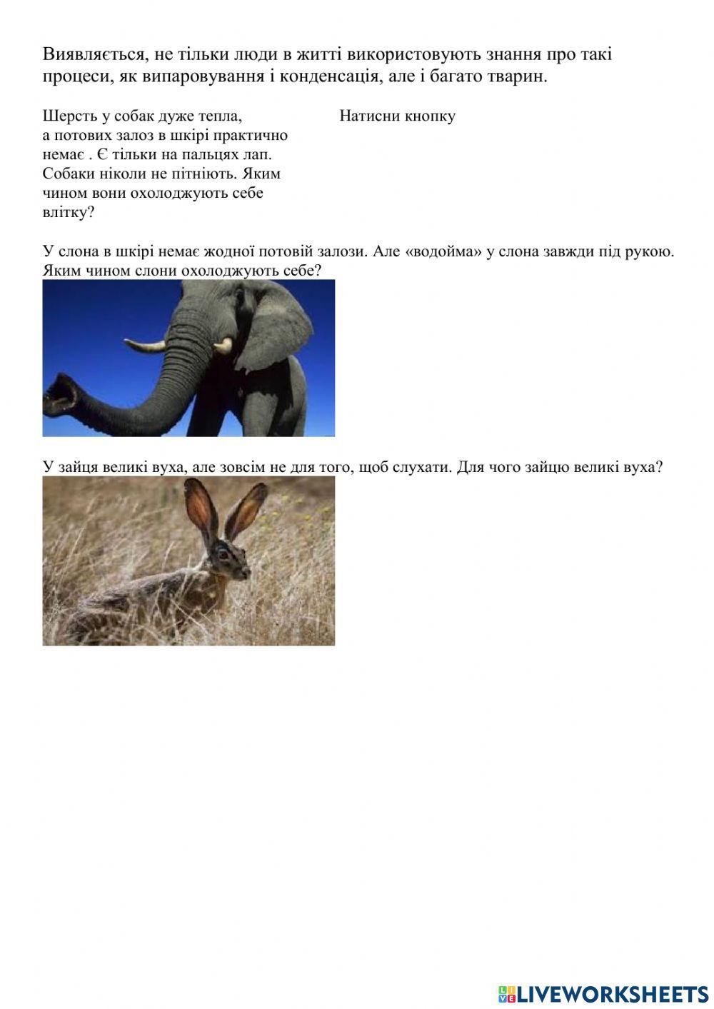 Випаровування і конденсація