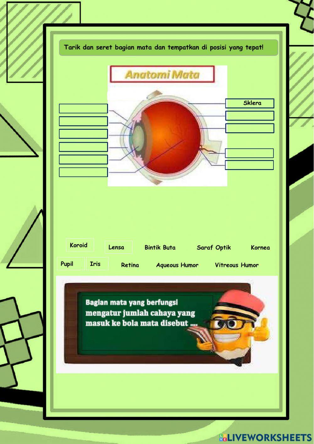 Lkpd mata dan gangguan mata