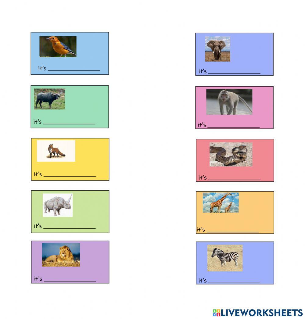 Animals online exercise for 2 Live Worksheets