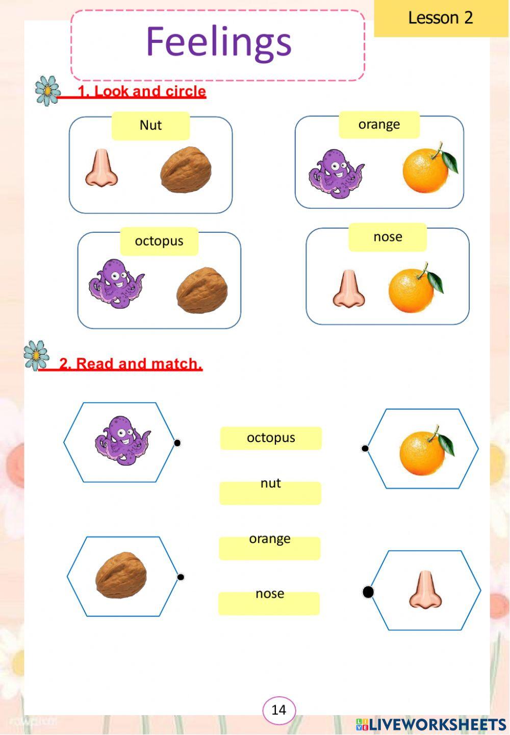 Unit 1 (FEELINGS) Grade2