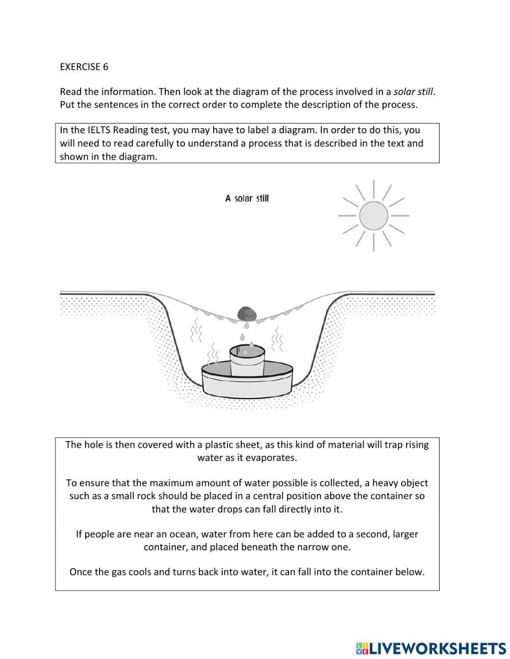 IE1, Unit 8, Reading, Exercise 6