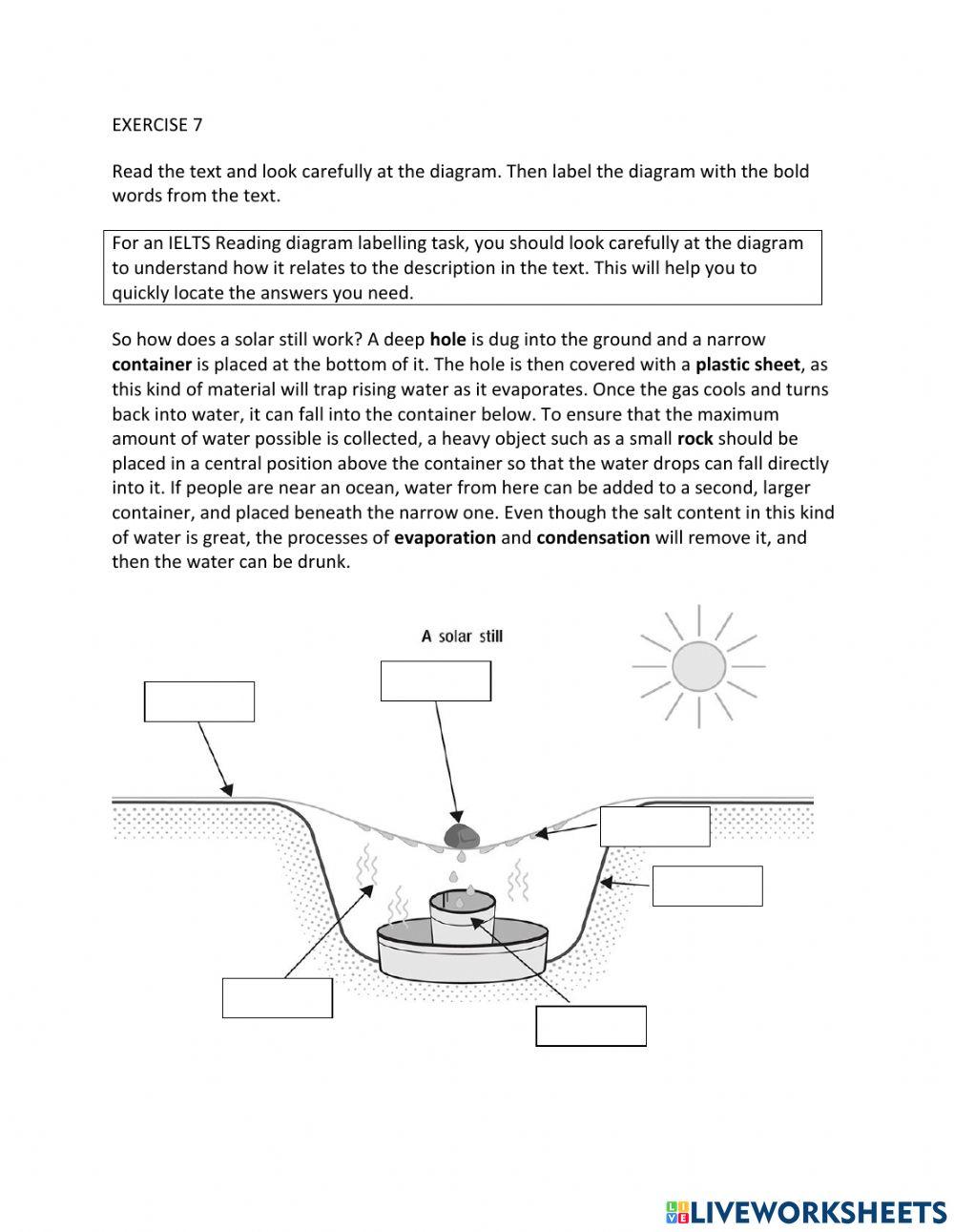 IE1, Unit 8, Reading, Exercise 7