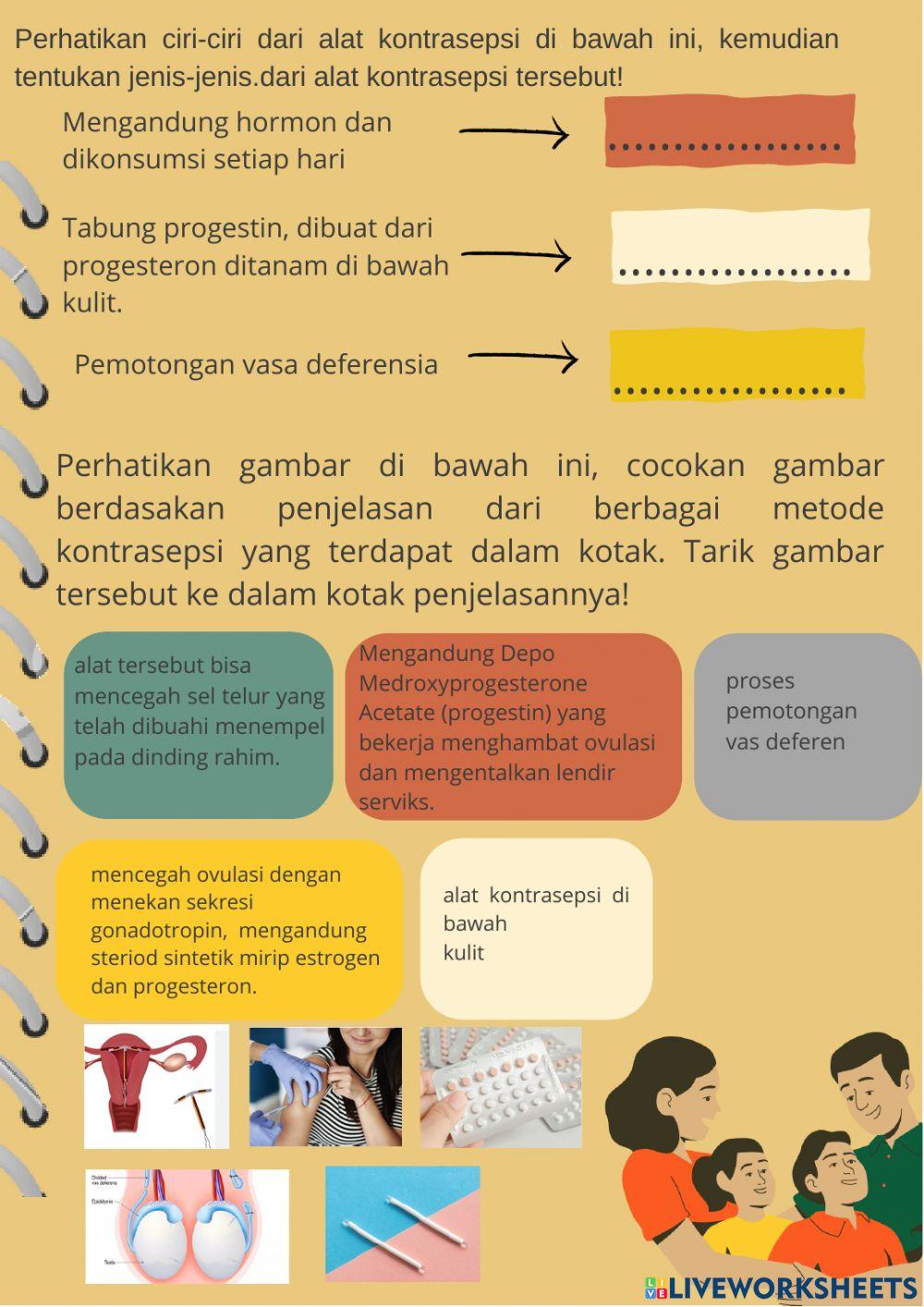 Sistem Reproduksi 2