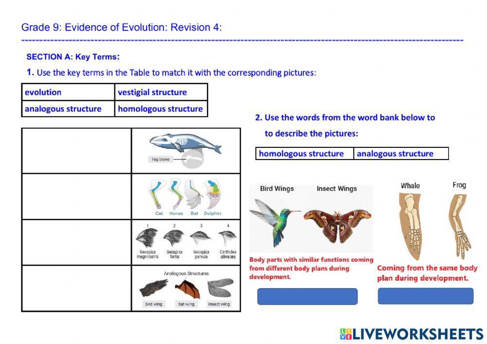 Evidence of Evolution