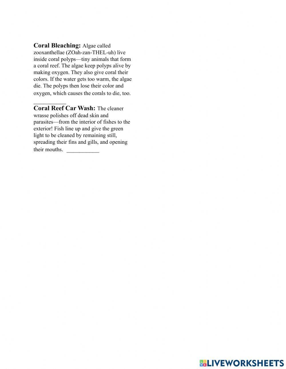 Symbiotic Relationships