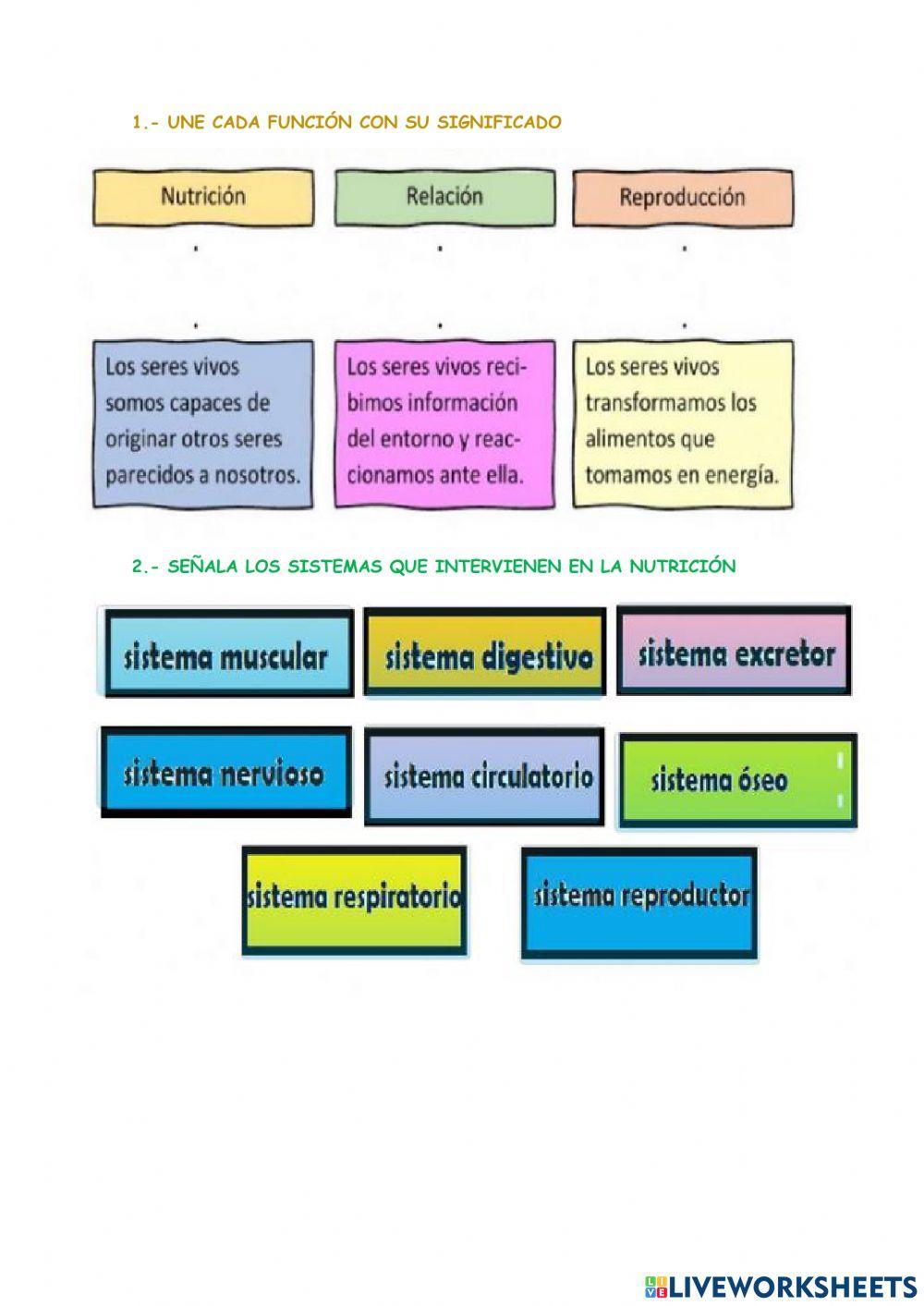 Funciones vitales Funciones vitales
