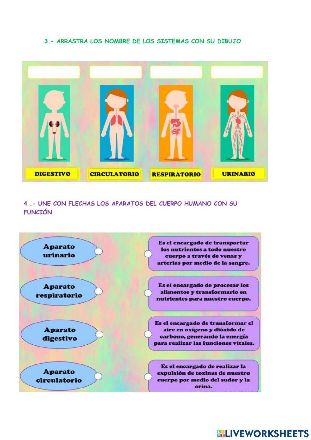 Funciones vitales Funciones vitales