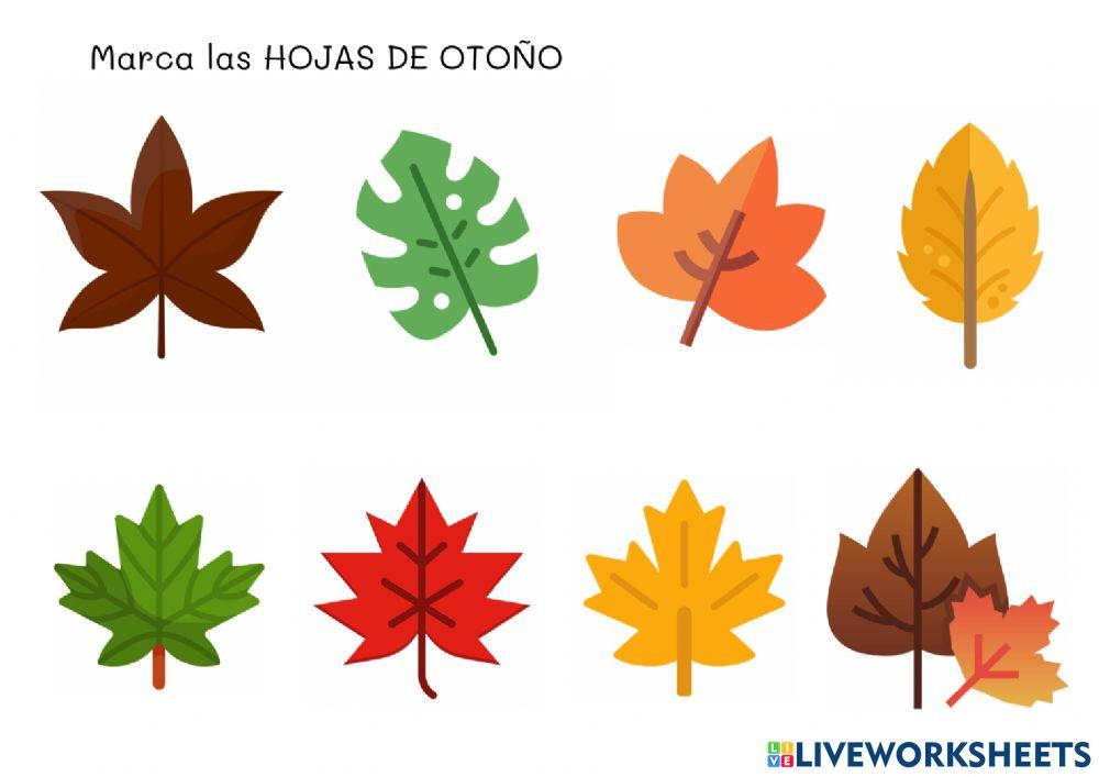 Evaluación colores