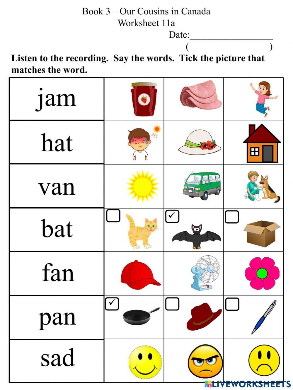 11a Short A CVC Word Picture Association