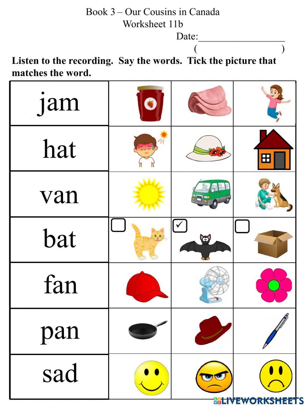 11b Short A CVC Word-Picture Association