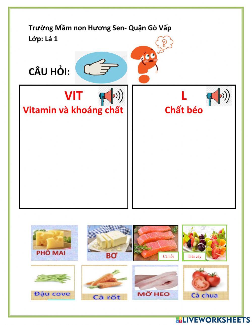 Phân loại 4 nhóm thực phẩm