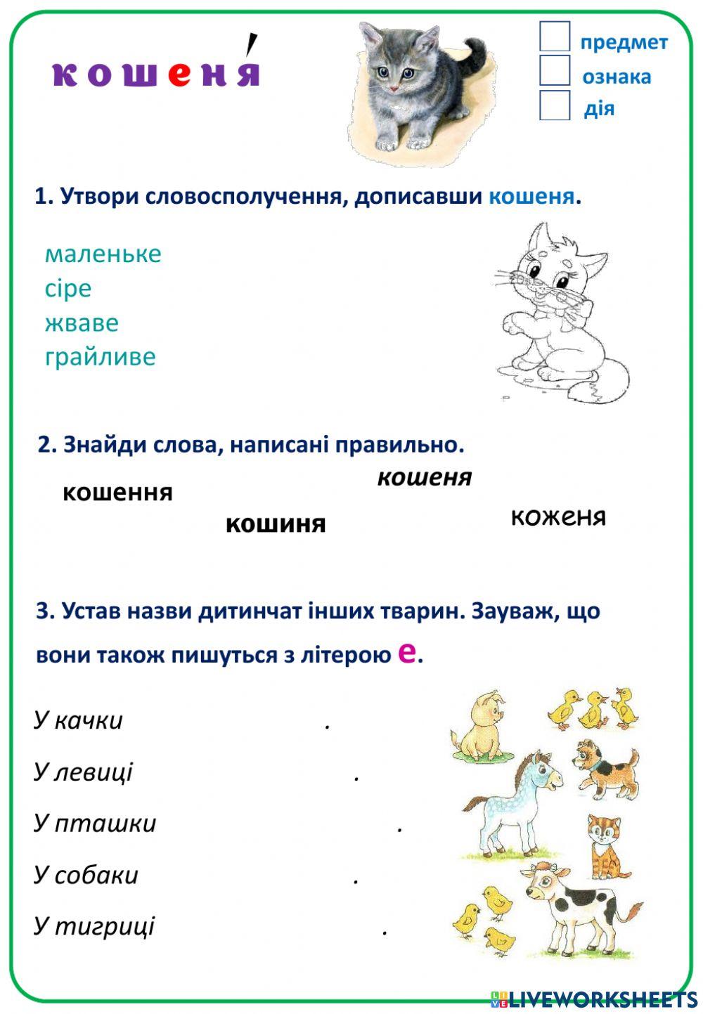 Кошеня Кишеня