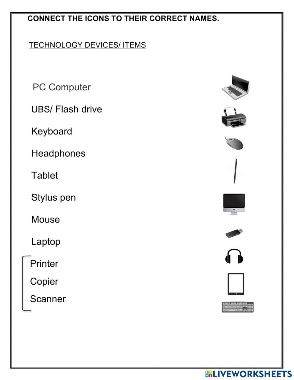 Microsoft Word Activity