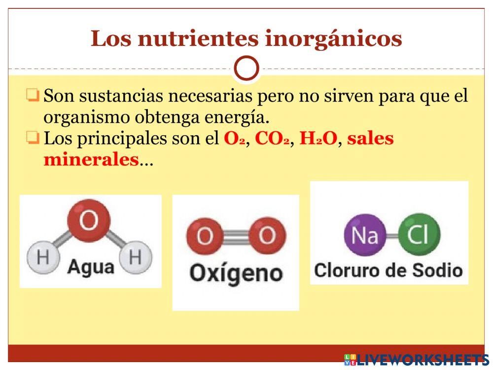 La nutrición - Parte 1