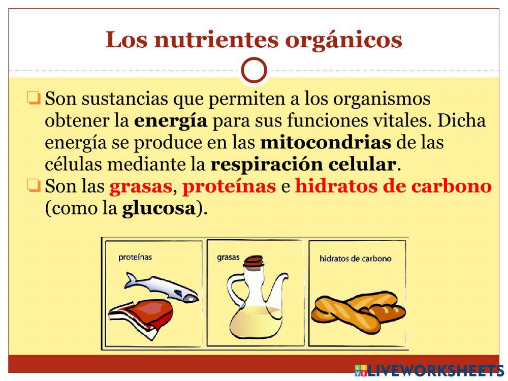 La nutrición - Parte 1