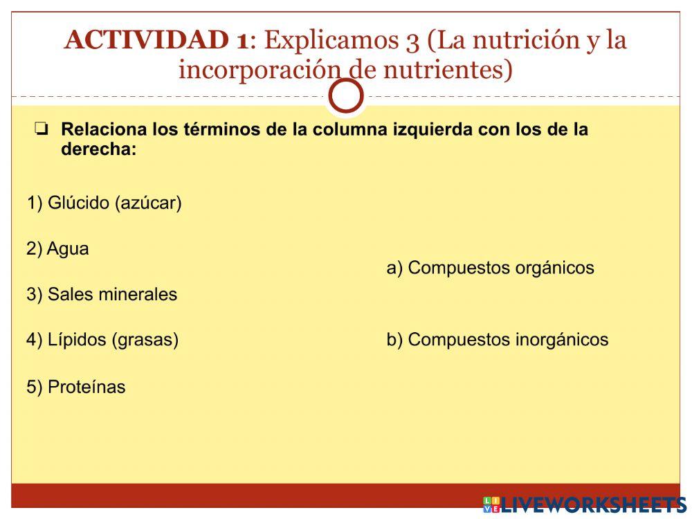 La nutrición - Parte 1