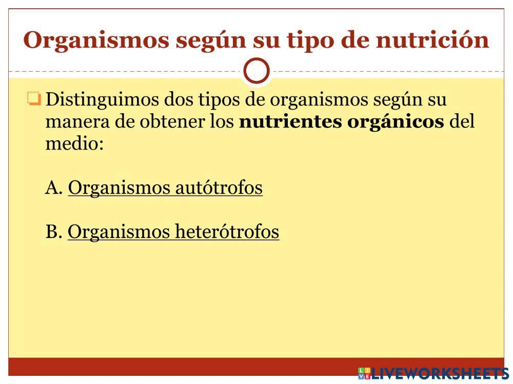 La nutrición - Parte 2