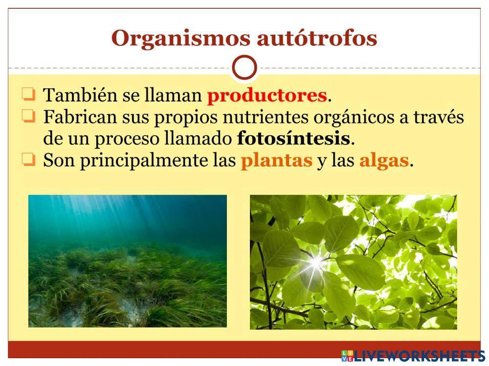 La nutrición - Parte 2