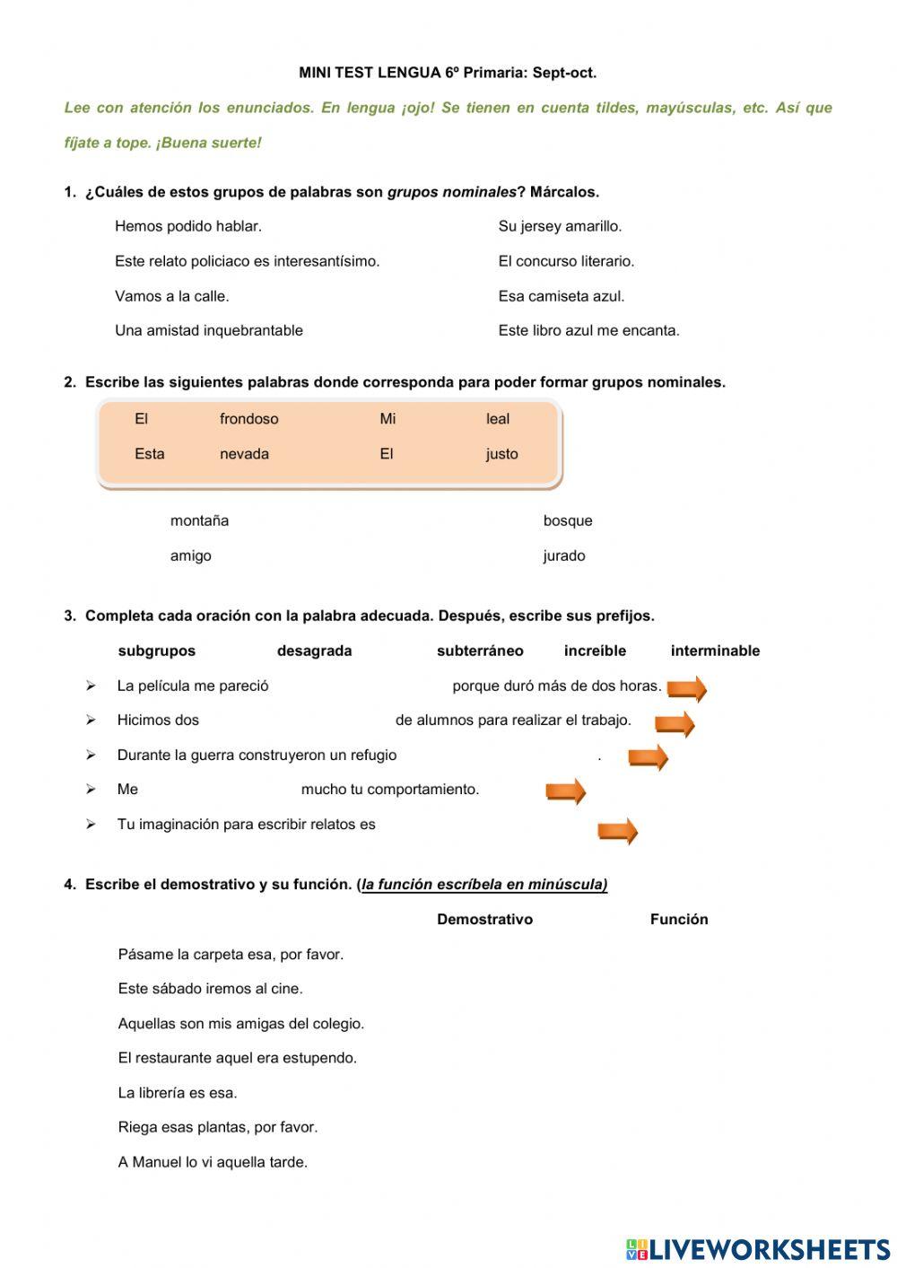 6º LENGUA-MINI TEST 1