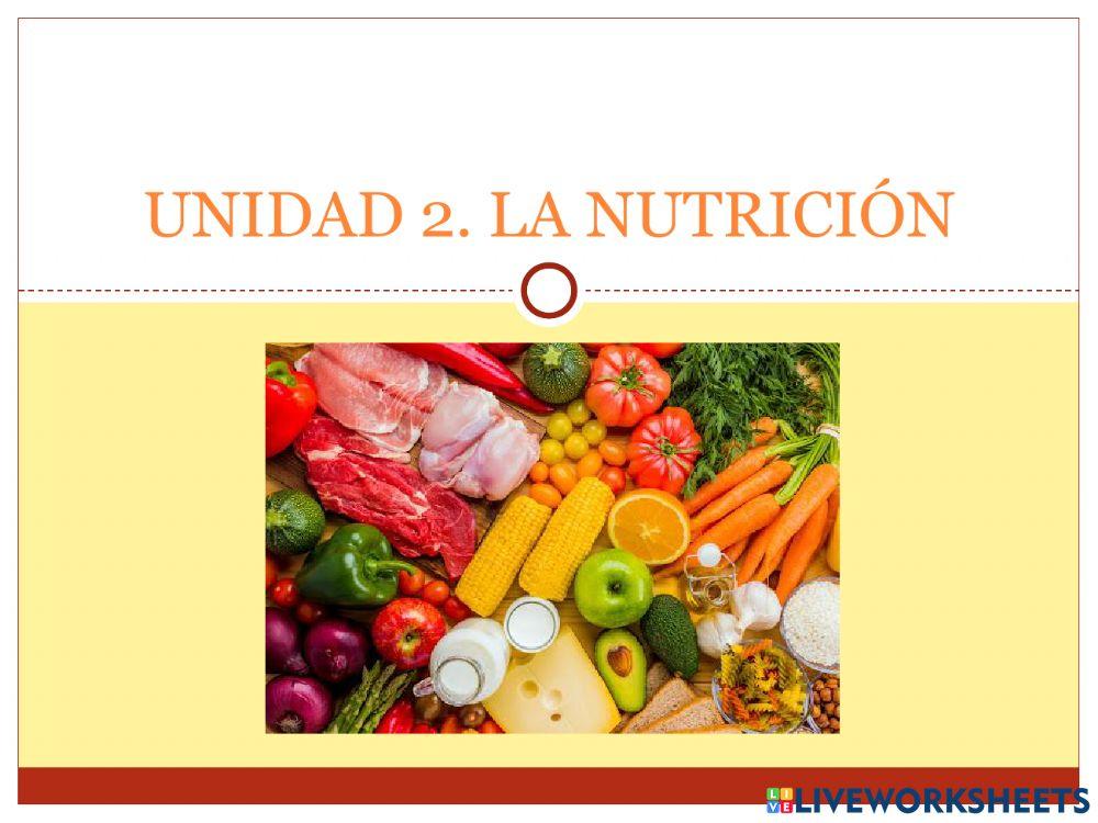 La nutrición - Parte 3