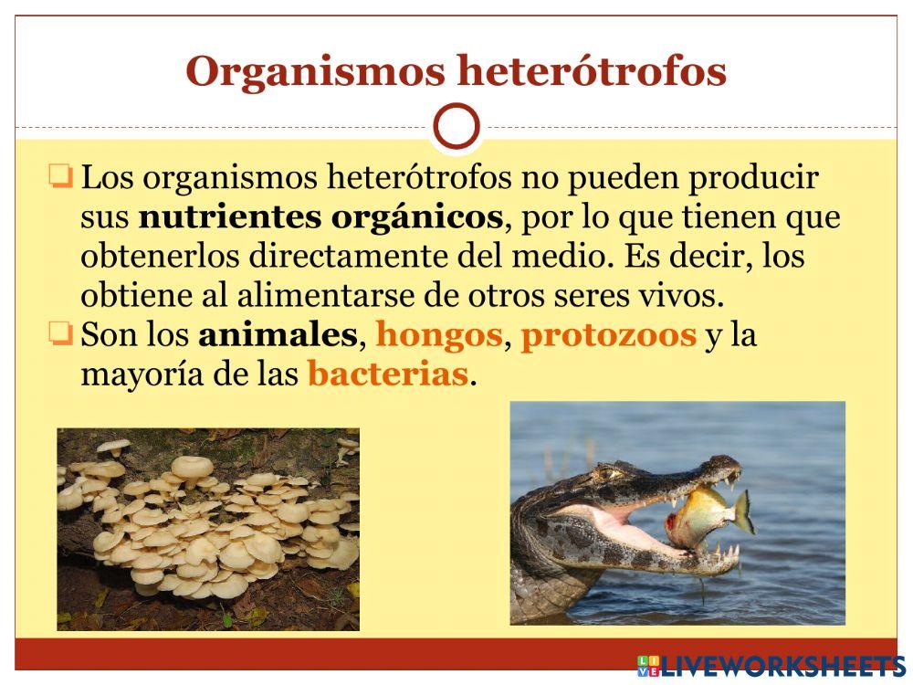 La nutrición - Parte 3