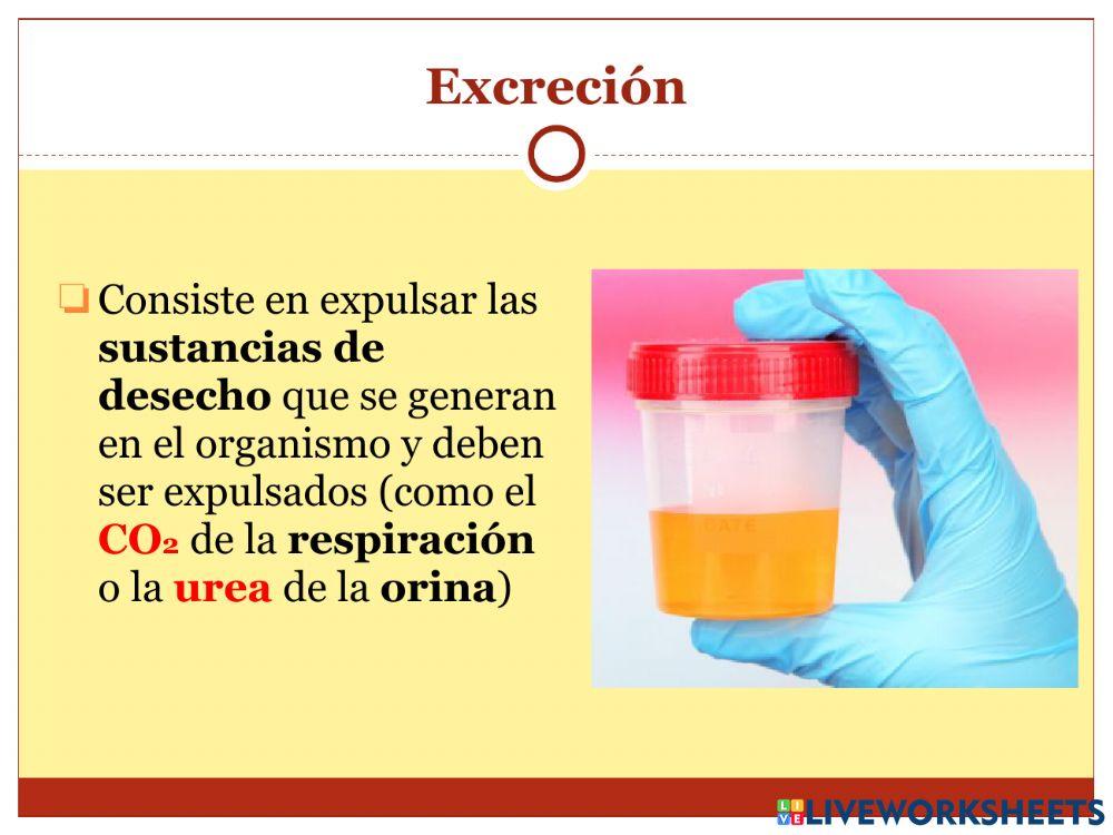 La nutrición - Parte 3