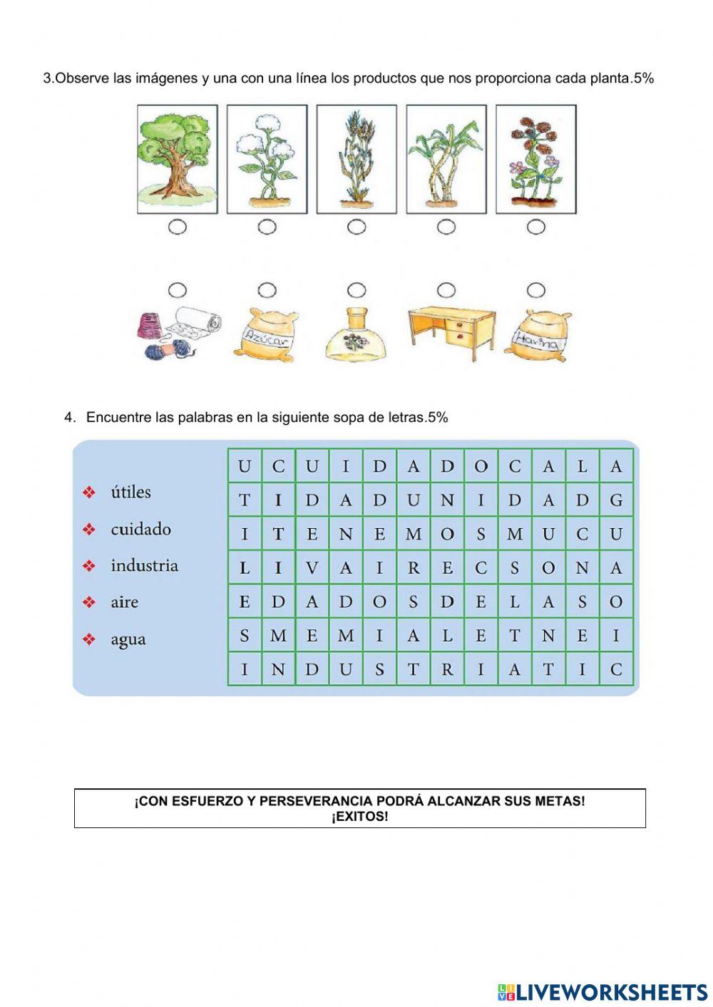 Prueba de Ciencias Naturales
