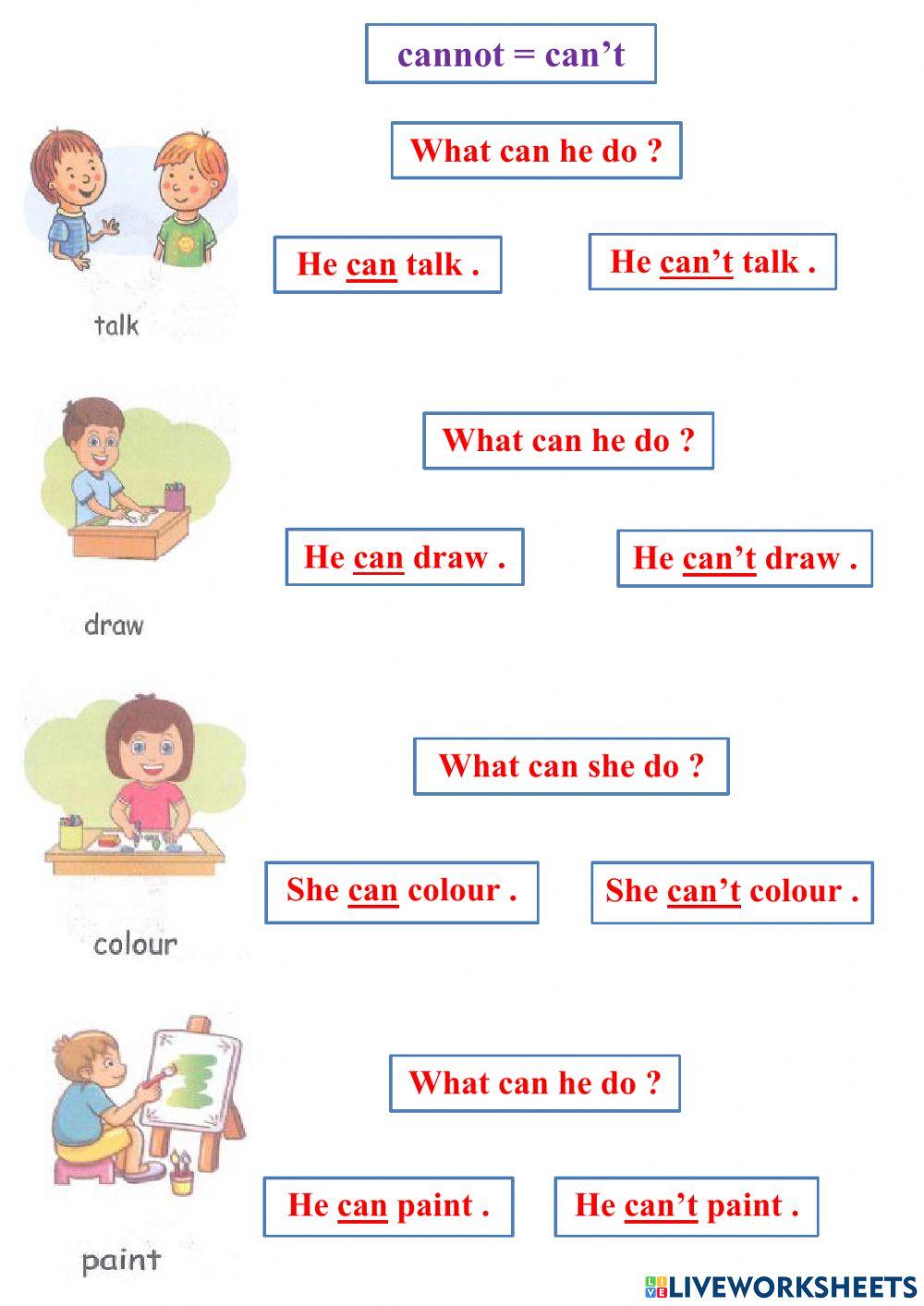 What can she-he do ?