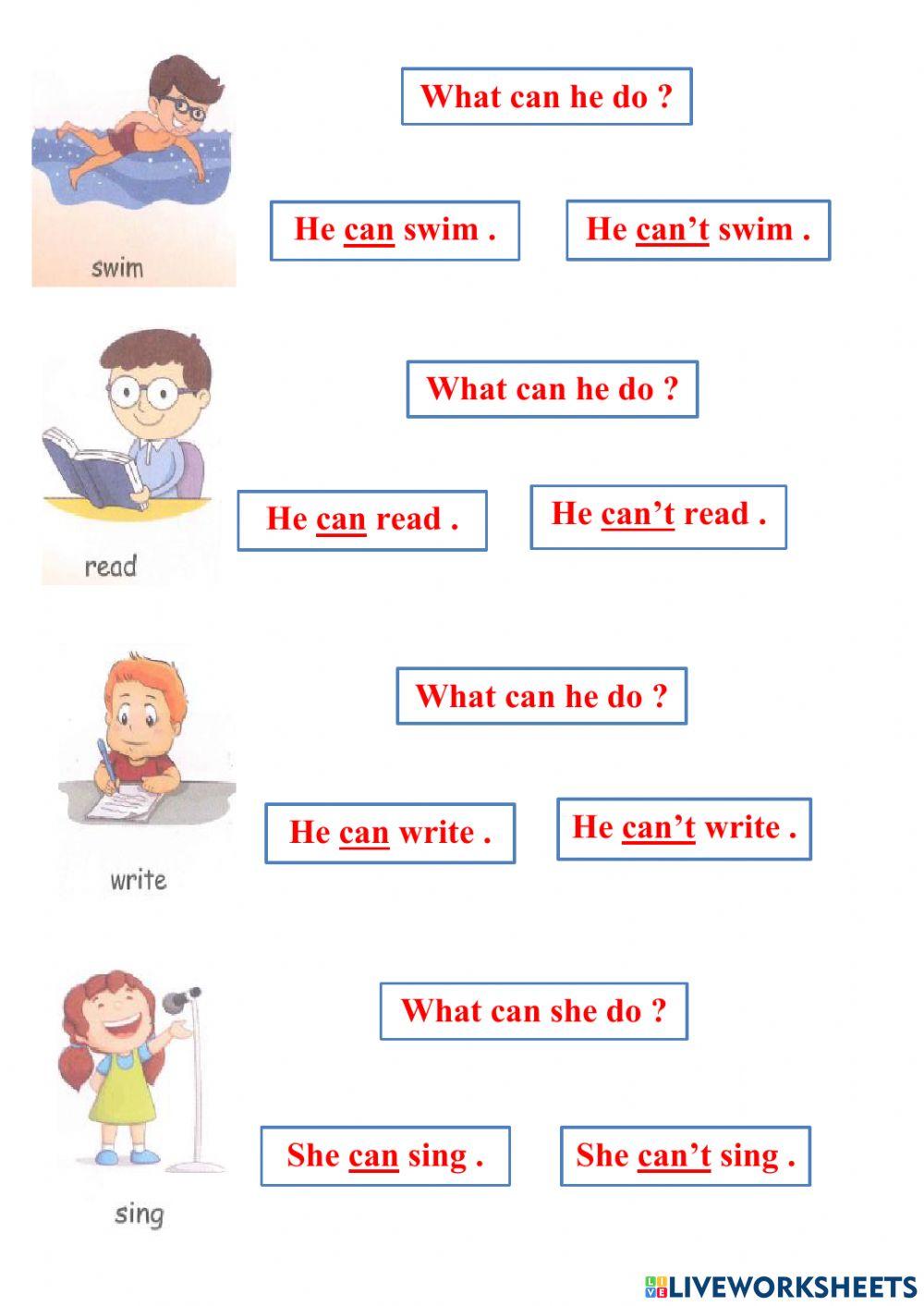 What can she-he do ?