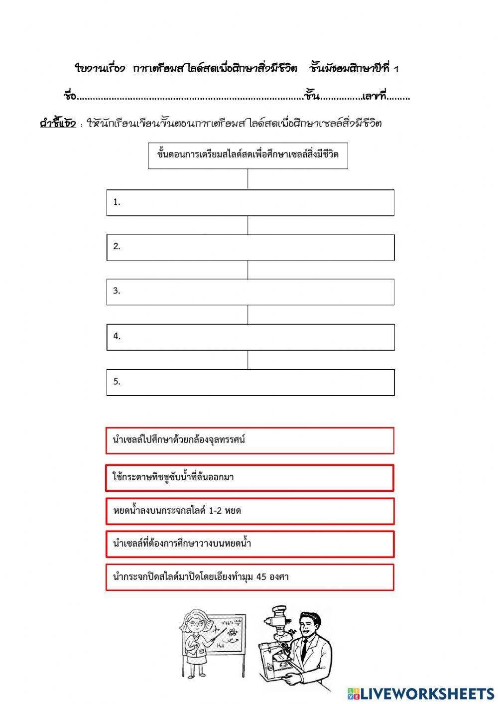 ใบงานที่ 2