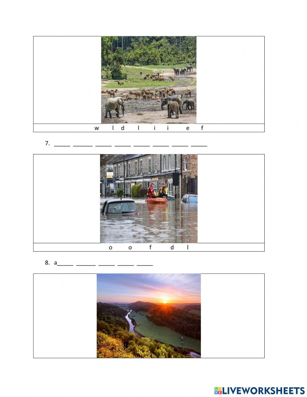 IE1, Unit 8, Speaking, Exercise 3