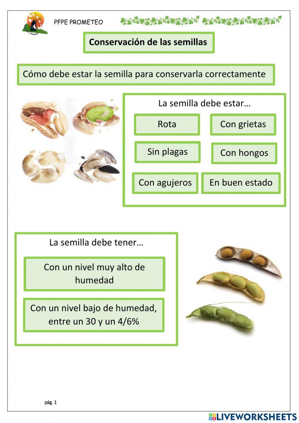 Conservación de semillas