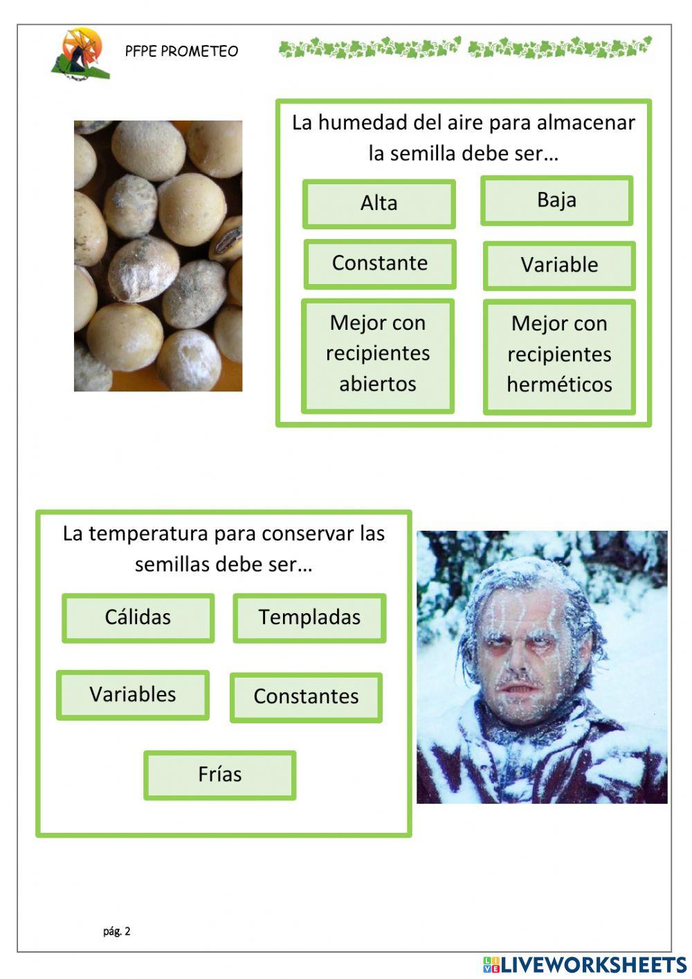 Conservación de semillas