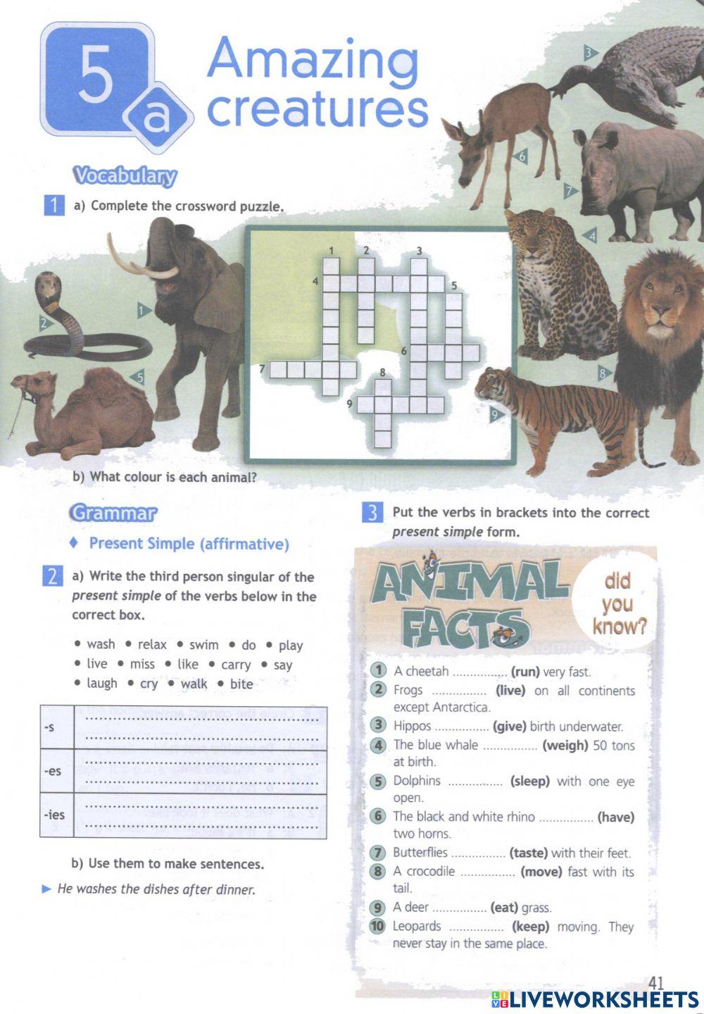 Spotlight 5. Workbook Module 5a worksheet | Live Worksheets