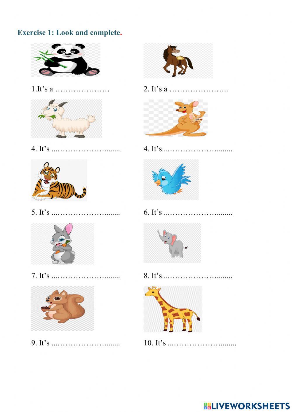 Unit 9: What did you see ...?