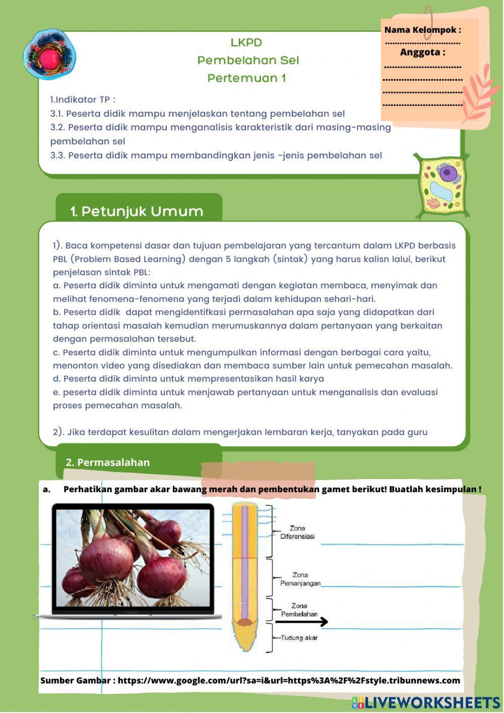 LKPD Pembelahan Sel Pertemuan 1
